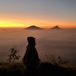 Suli Cavendish - tiktok username