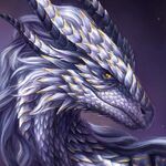 Sammy - kik username