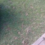 Barnaba - instagram username