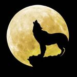 arslan210 - kik username
