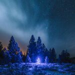 Patrick - instagram username