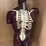 Iaburt - instagram username