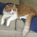 Matt - instagram username