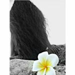 loulou-shi - instagram username