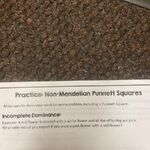 Chase - kik username