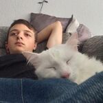 Max - telegram username