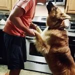 BPRyder - kik username