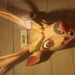 Jim56567 - kik username