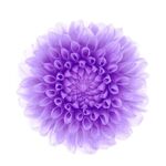 Soni - kik username