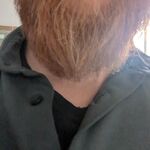 RedBeard - kik username