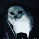Furqi - snapchat username