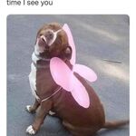Marc - kik username