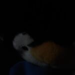 Jacob - kik username