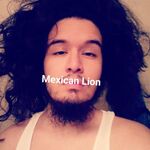 Biserr - kik username