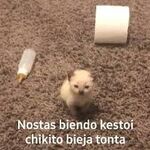 Chamona - instagram username