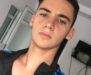 david