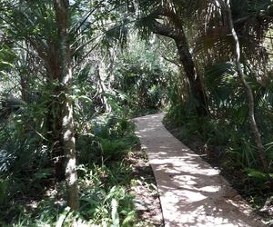 Daddy