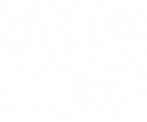 &zwj;