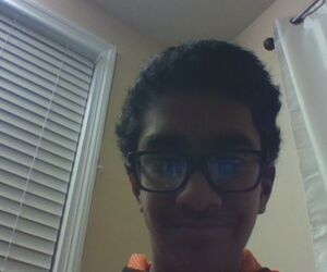 ameer