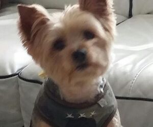 Al