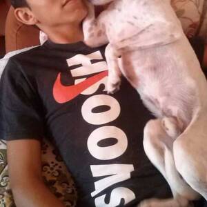 jaime