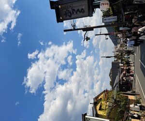 Leon