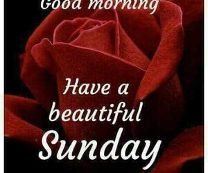 Mssheetal