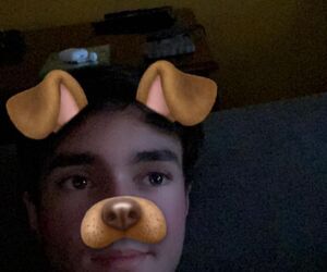 Max_cedar