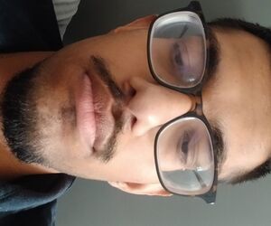 Veer