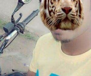 Dream boy