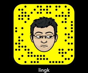 lingk