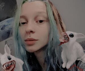 fairymoonfox