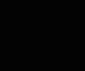 Dustinsc99