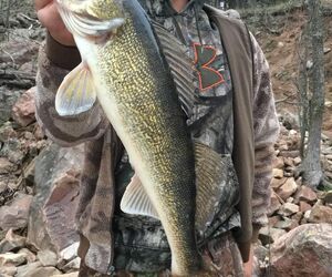 Walleye23
