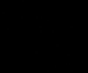 bradelmo39