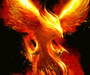 EternalPhoenix