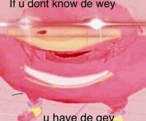 Skdjdkjddkdkdk