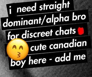 DiscreetBidude