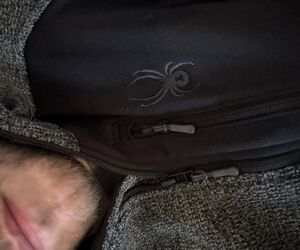 Dan