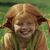 Pippi