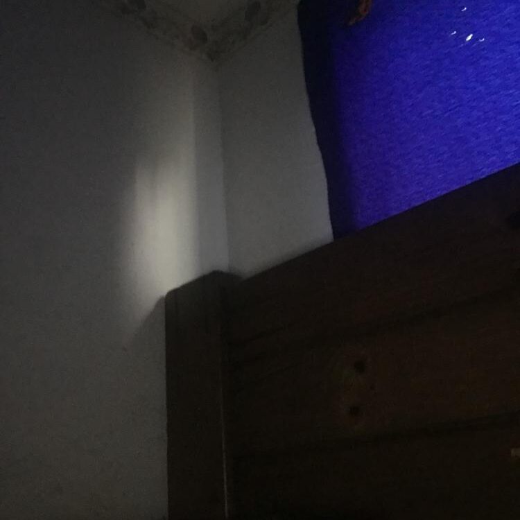 Foto de perfil de Tyler