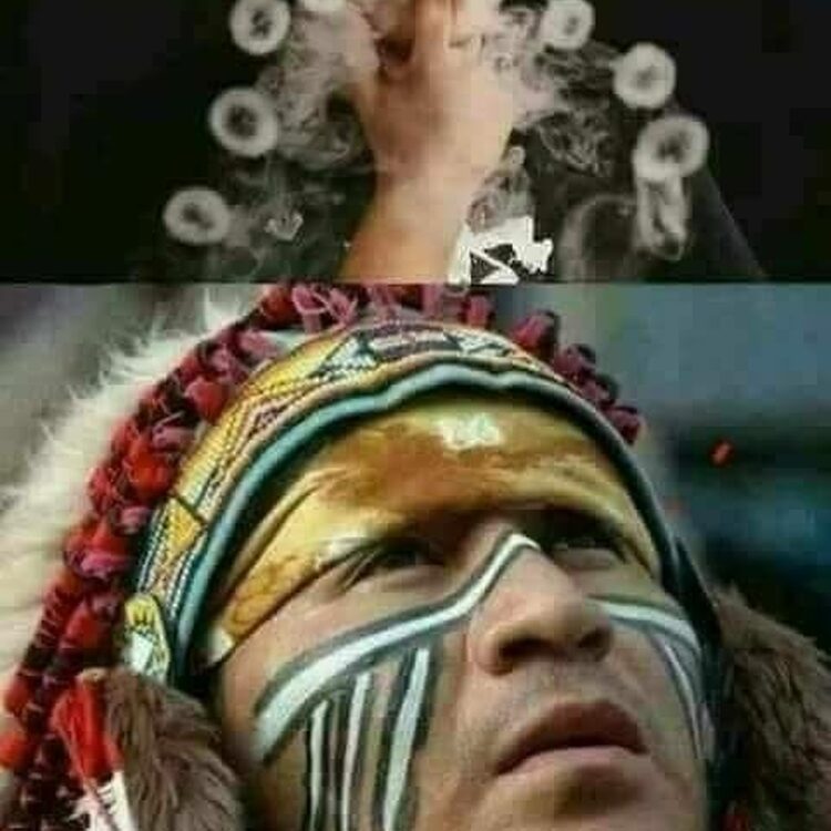 Foto de perfil de Derp