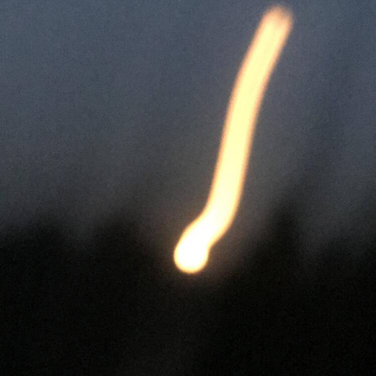 Foto de perfil de Xisco
