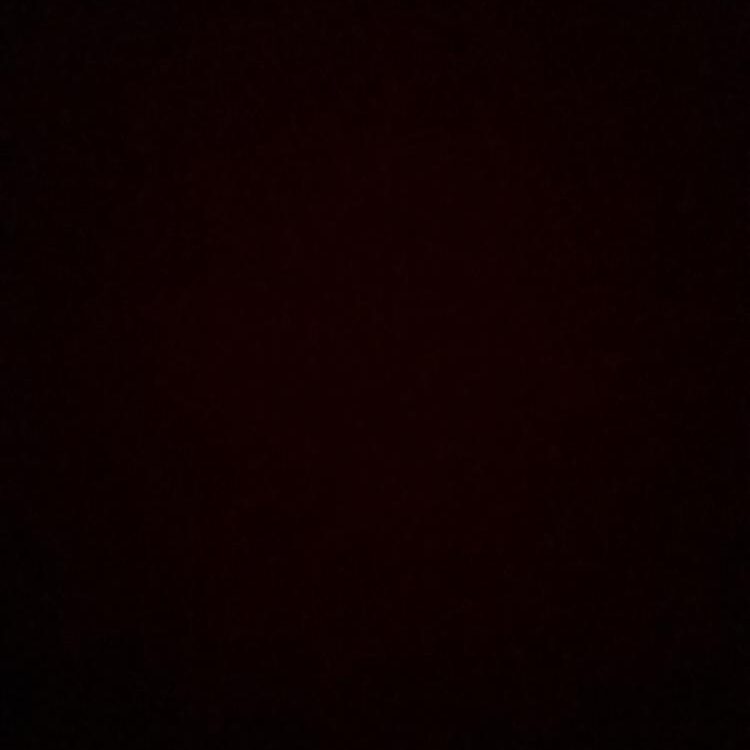 Foto de perfil de Sarah
