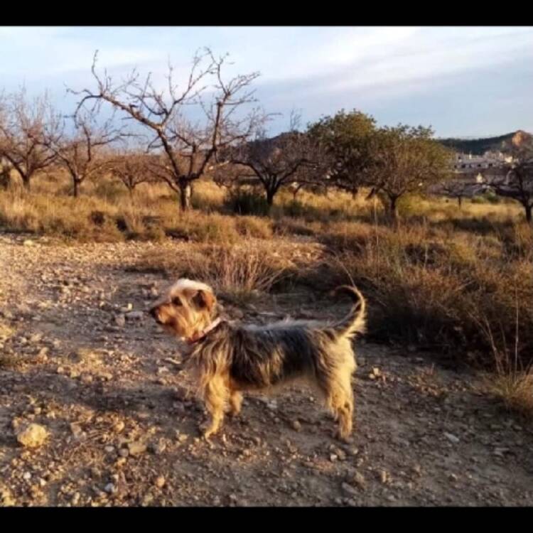 Foto de perfil de Marcel