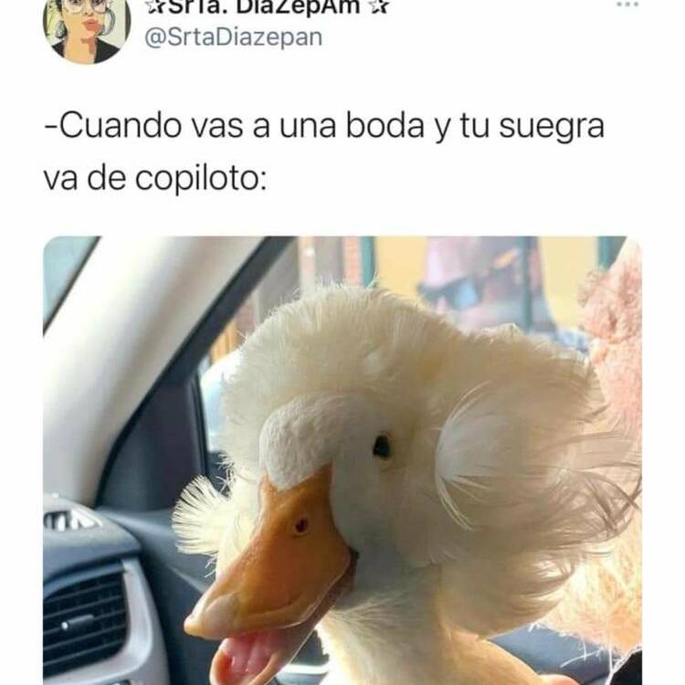 Foto de perfil de Olivia