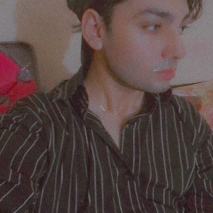 Foto de perfil de Sameerkahn19