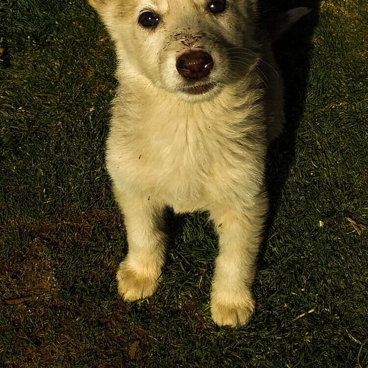 Foto de perfil de Makoae