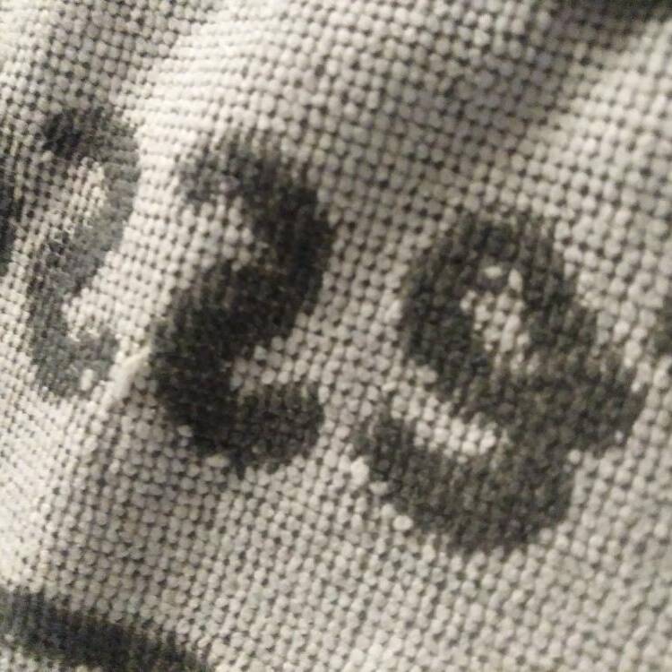Foto de perfil de Toni