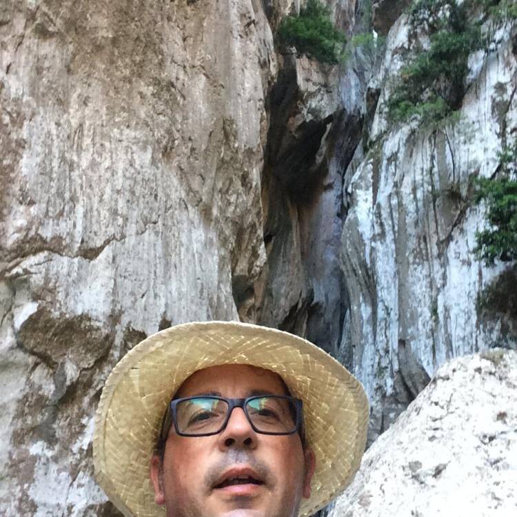 Foto de perfil de Miguel Forteza